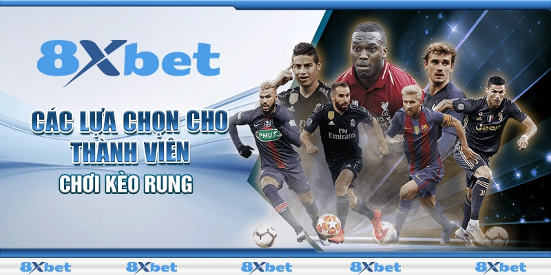 Kèo Rung Là Gì: Định Nghĩa Và Cách Đặt Cược Hiệu Quả 4 Các lựa chọn cho thành viên chơi kèo rung