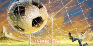 Cá độ bóng đá | Hình thức giải trí hàng đầu của làng túc cầu