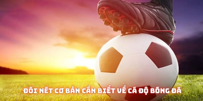 Cá độ bóng đá | Hình thức giải trí hàng đầu của làng túc cầu 2 Đôi nét cơ bản cần nắm rõ trước khi tham gia cá độ bóng đá