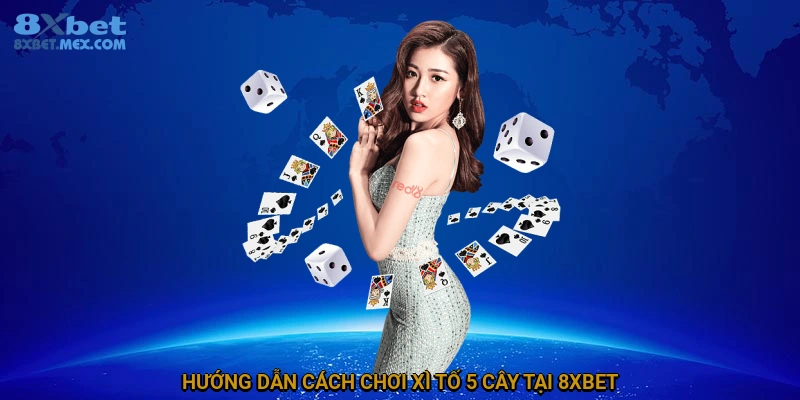 Hướng dẫn chơi xì tố 5 cây cơ bản tại 8XBET