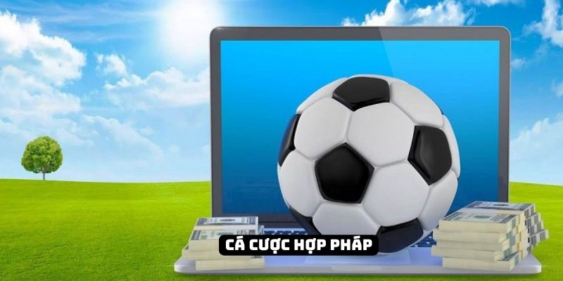 Luật cá độ bóng đá là gì? Cách để tham gia cá cược hợp pháp 5 Cách để tham gia cá cược bóng đá hợp pháp