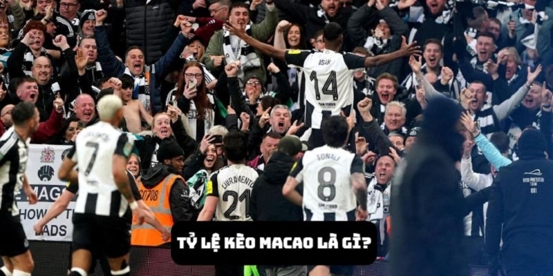 Tỷ lệ kèo Macao là gì? Tổng hợp dạng phổ biến nhất 2025 1 Tỷ lệ kèo Macao là gì? Tổng hợp dạng phổ biến nhất 2025