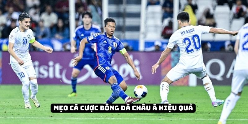 Tỷ số bóng đá châu Á | Tầm quan trọng trong hoạt động cá cược 5 Vài mẹo hiệu quả khi chơi kèo châu Á